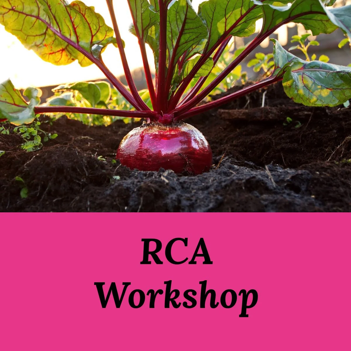 RCA Workshop.jpg