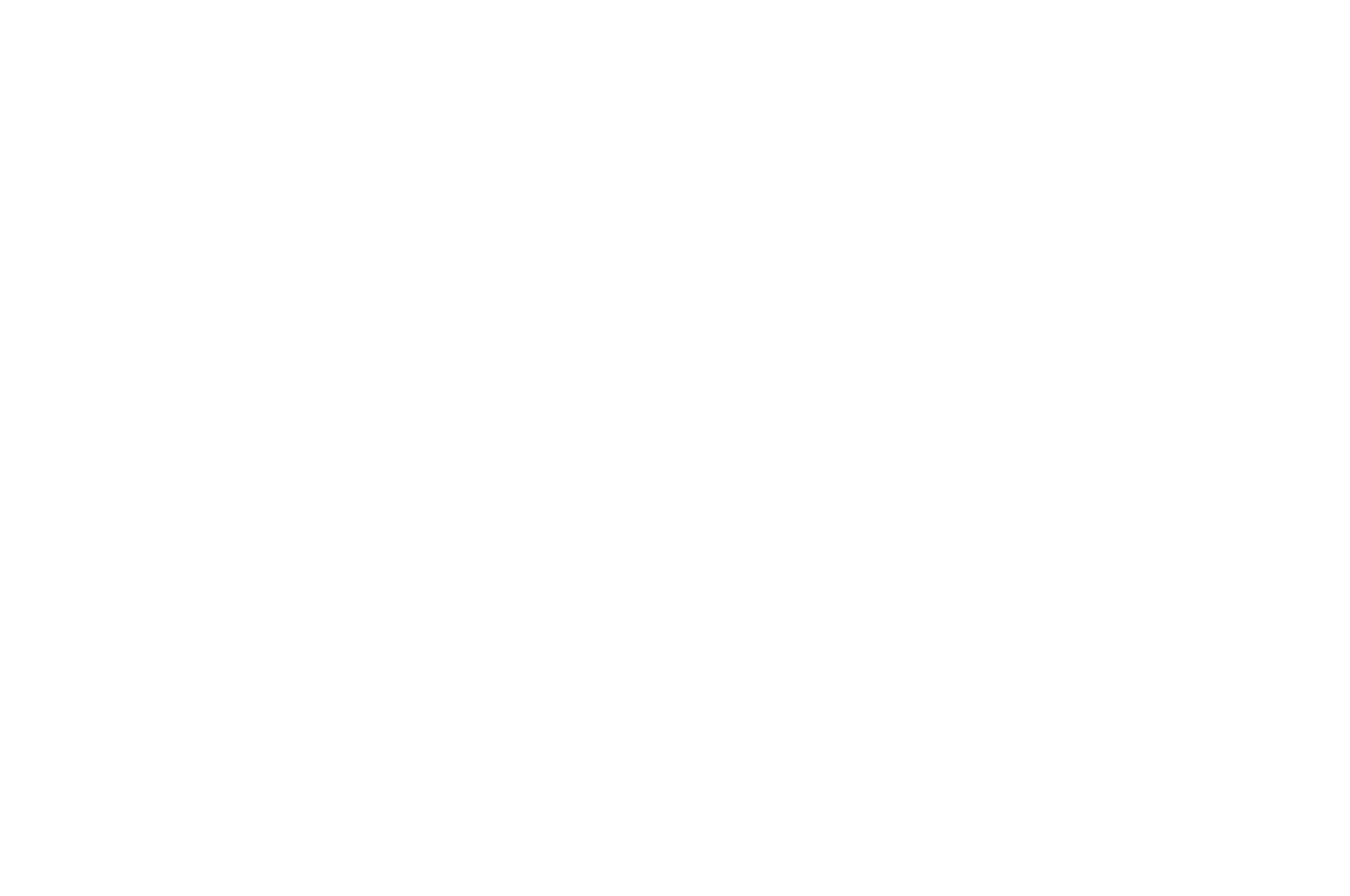 FINALIST BEST WEB SERIES 2- Paris International Short Festival - 2022.png