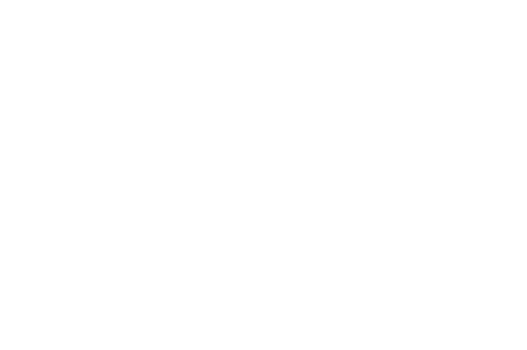 SEMI-FINALIST - Palm Springs Shorts - 2022.png