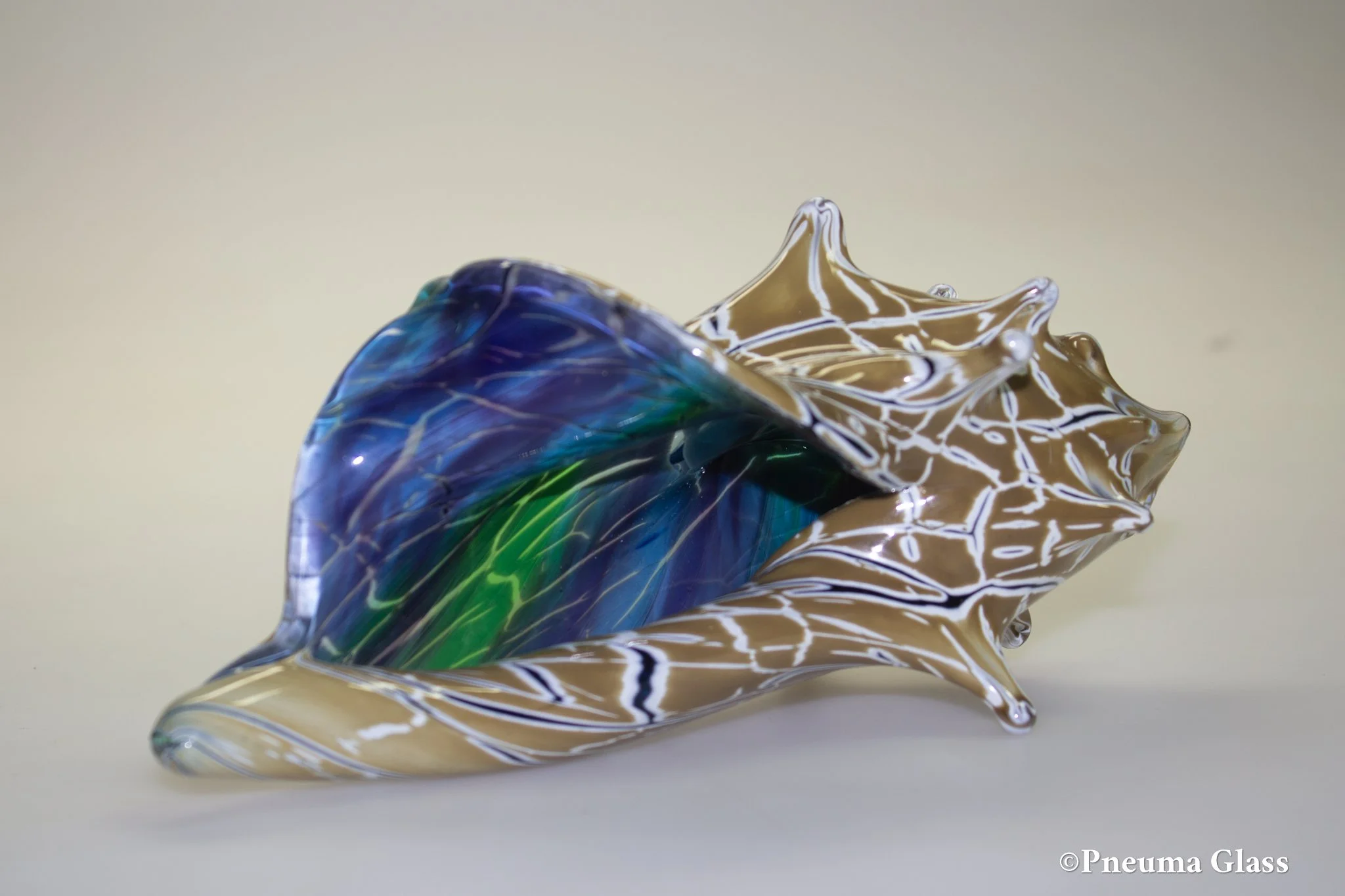 Sandstone Celestide Shell