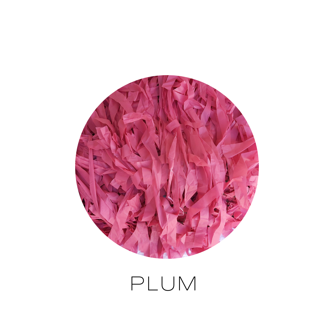 PLUM (2).png