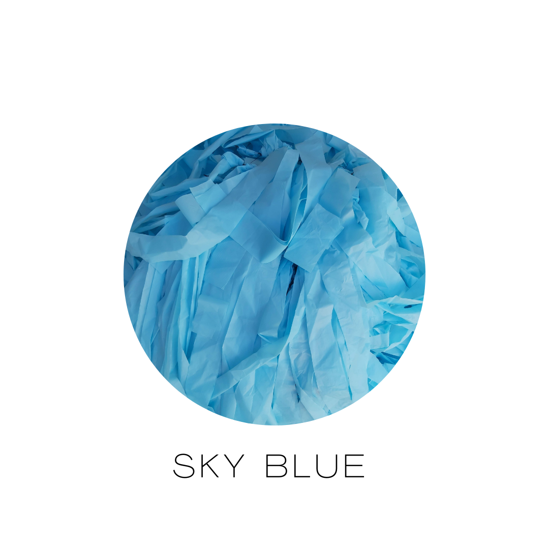 SKY BLUE (1).png