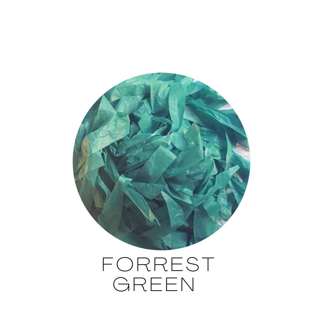 FORREST .png