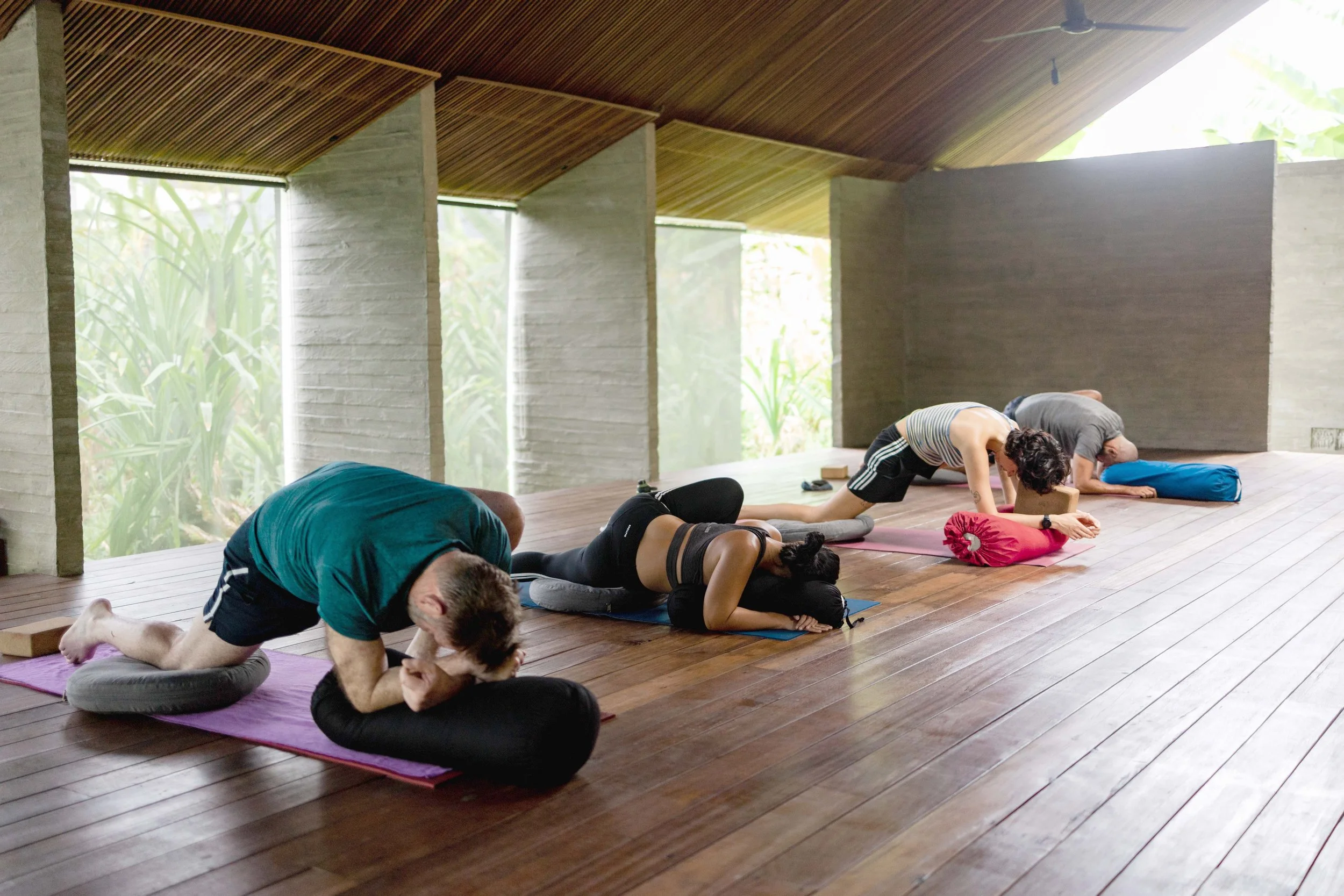 People practicing yoga in a serene indoor setting with large windows showing greenery outside.
