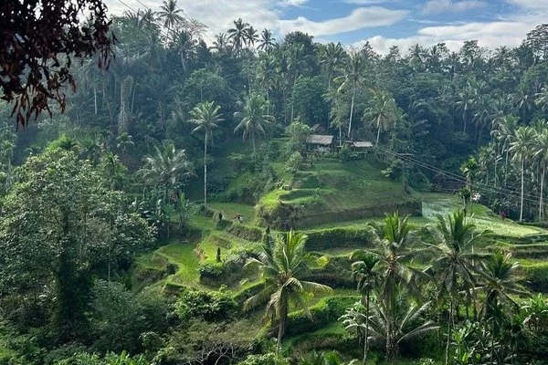 From Asana to Action: Yoga and Ecology at Ubuntu Bali