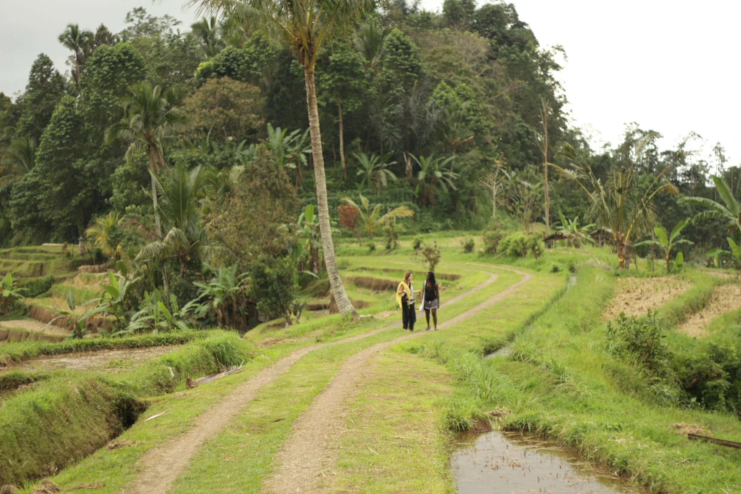 Eco Yoga Retreat Bali — What It Really Means (And What to Look For)