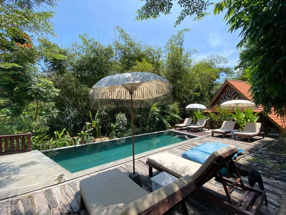 Outdoor swimming pool with lounge chairs, umbrellas, and lush green trees and plants surrounding the area.