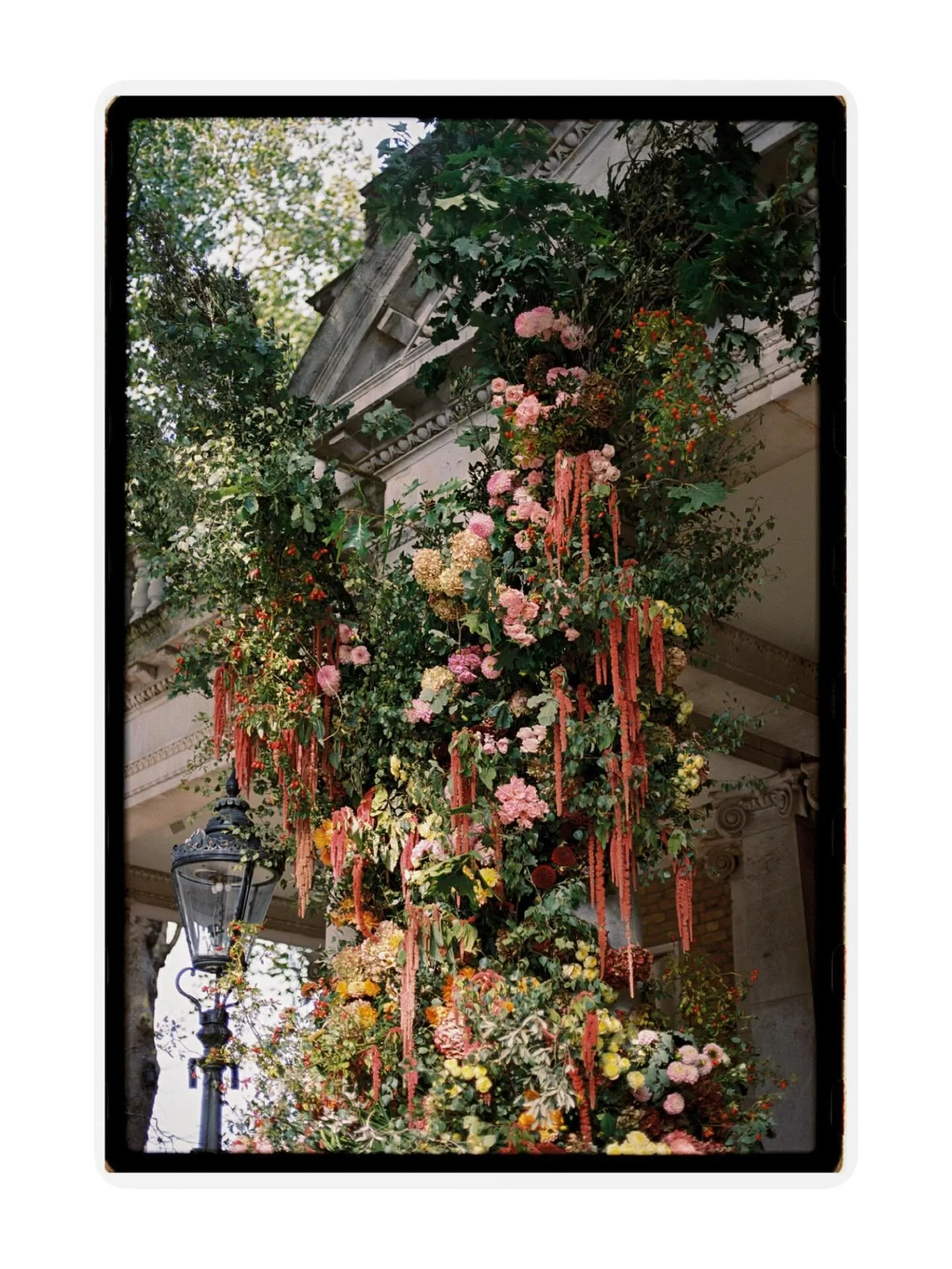 Flowers on film.

Planners: @johnnyroxburghdesigns
Venues:@stmaryislington @royalballetandopera
Flowers: @lucyvailfloristry