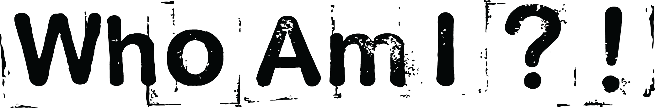 STICHTING WHO AM I ?] logo