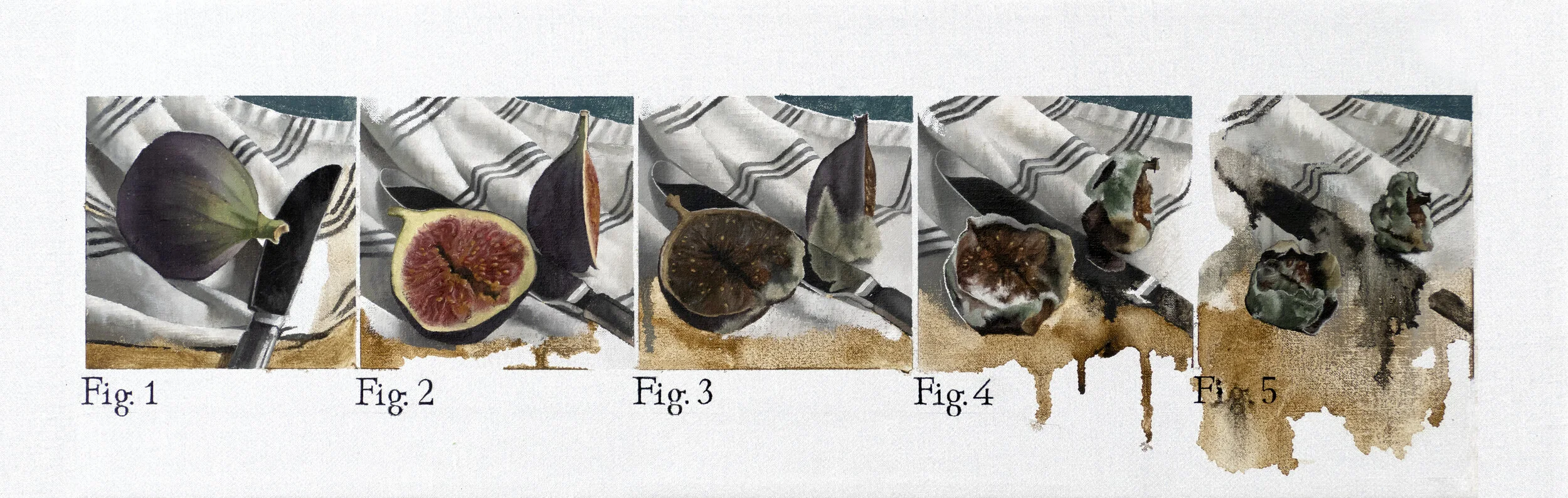 A NATION DIVIDED - SEE FIGS. 1 TO 5