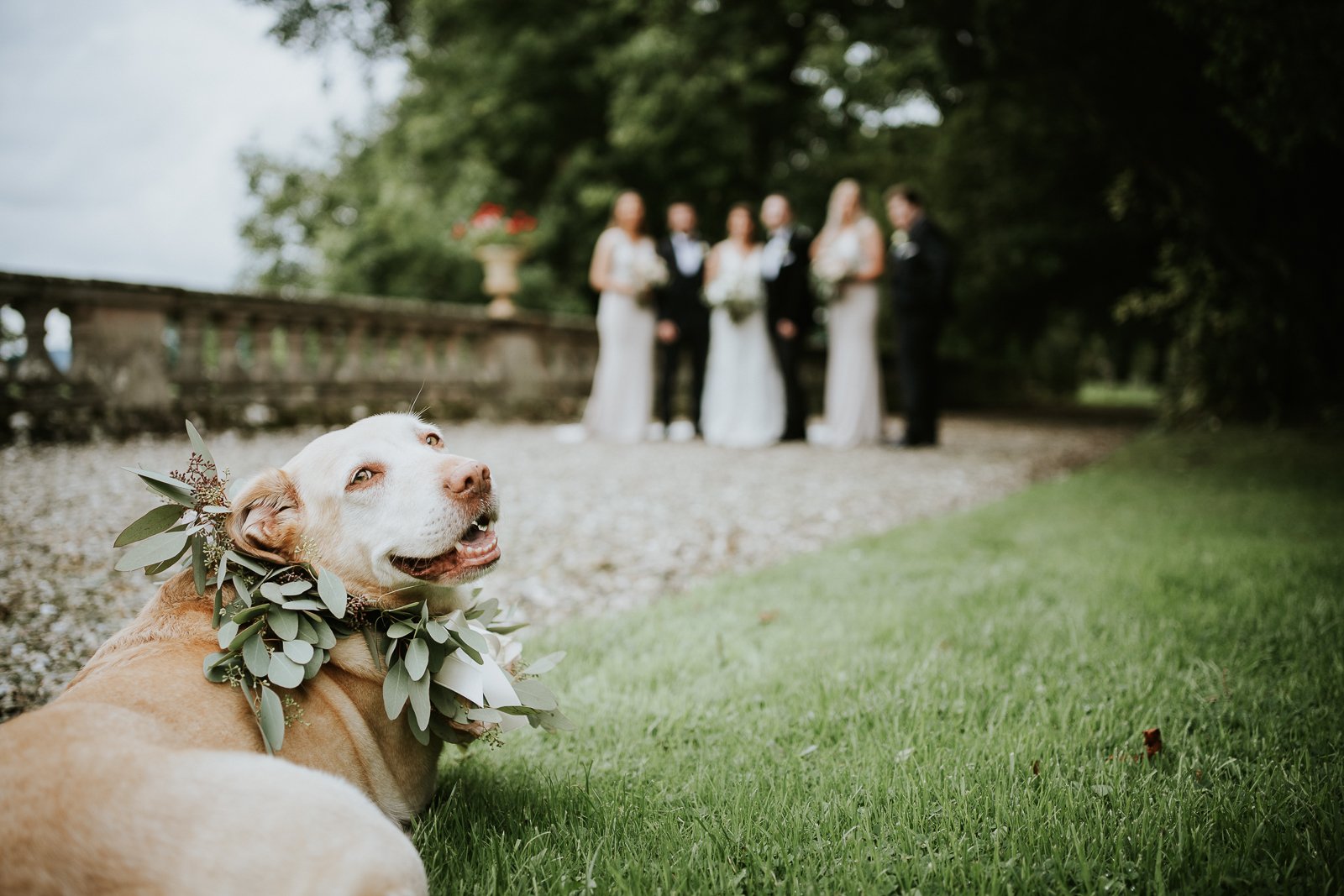 Wedding-Photographer-Drenagh-Estate-Catherine-Lyam-032.jpg