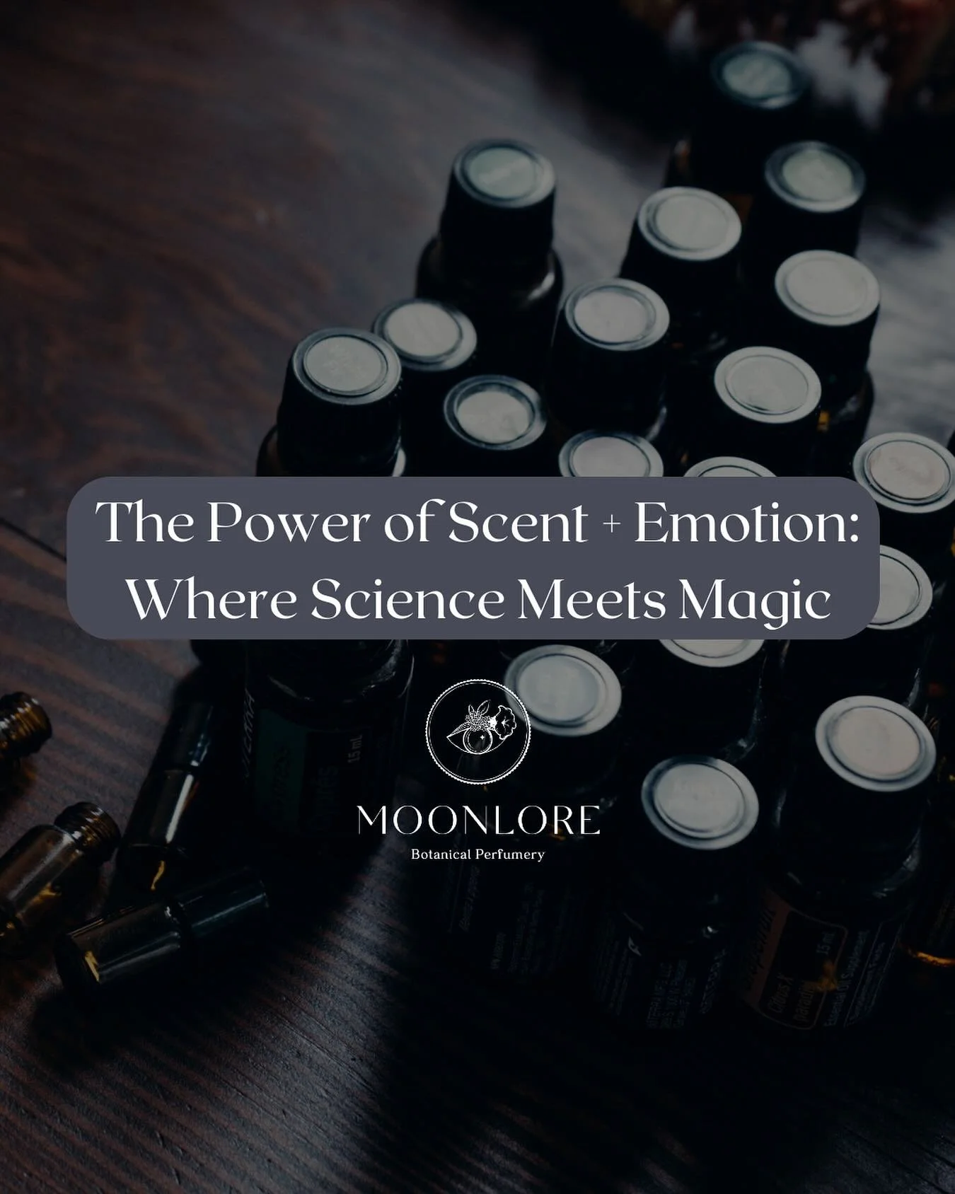 Scent is ancient. Older than language. It&rsquo;s the first sense we develop in the womb - and the most direct path to memory, mood, and emotion.

✨ The Science: When you inhale an aroma, scent molecules travel straight to the olfactory bulb, which i