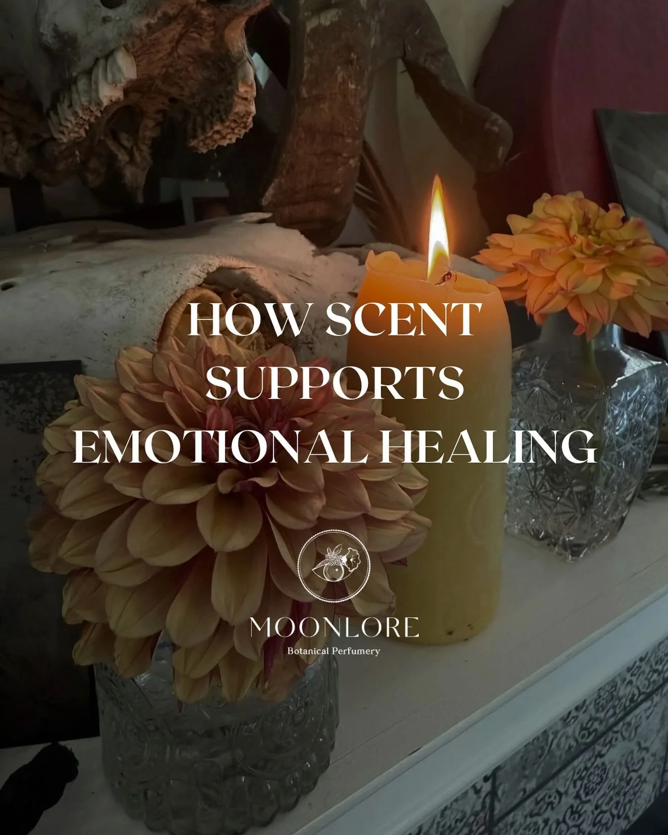 Scent speaks the language of the limbic system - the part of the brain that stores memory, emotion, intuition.
 It bypasses logic and lands somewhere deeper. Somewhere truer.

That&rsquo;s why a single inhale can ground you. Why a certain aroma bring
