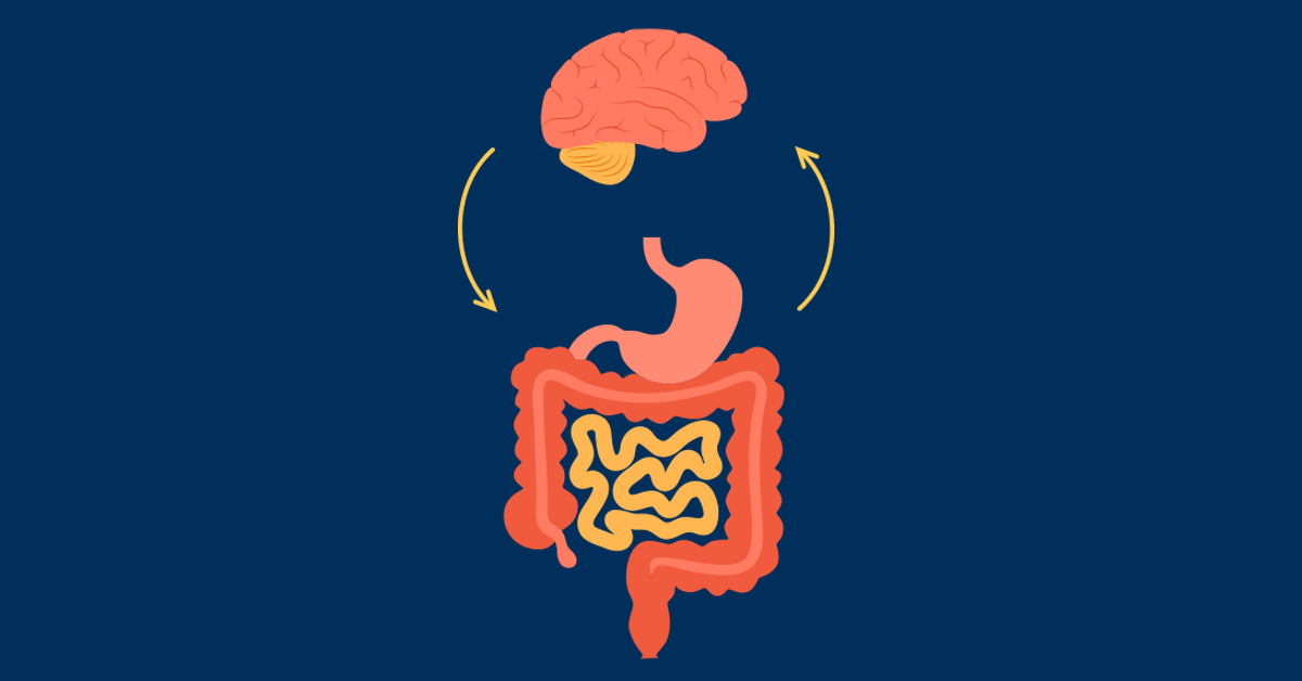 ADHD, anxiety &amp; gut health: the connection families need to know about