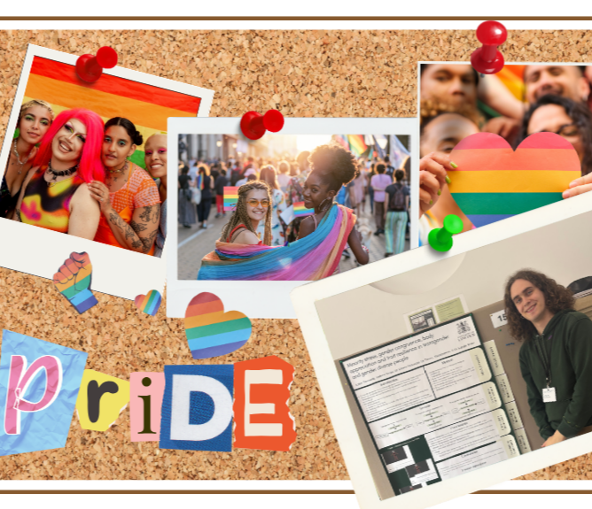 Pride in all bodies: body respect and the gender diverse population