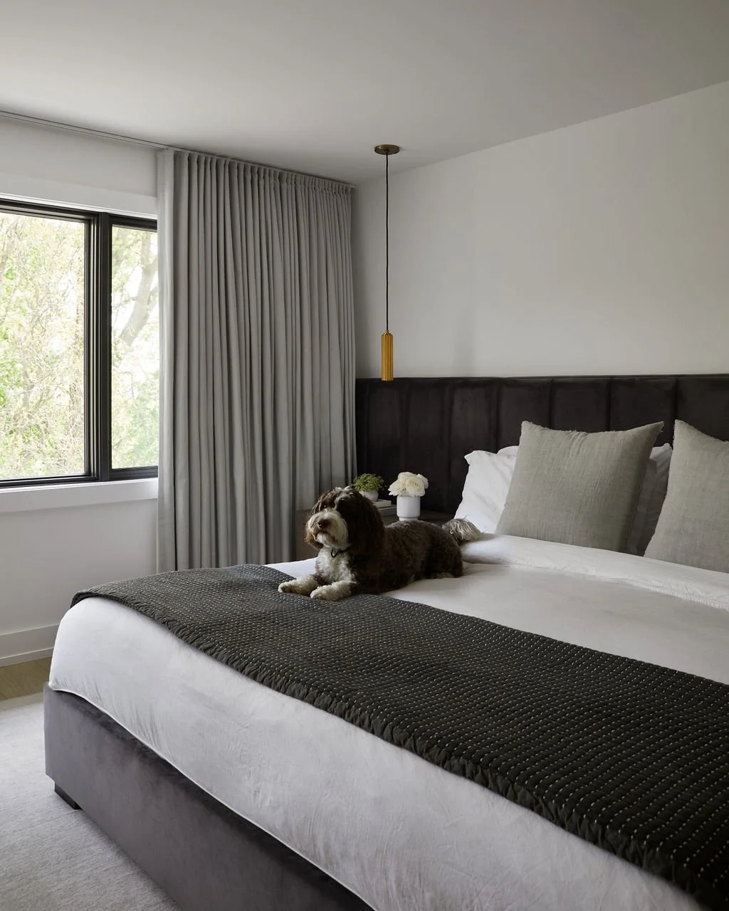 RBA_Chandon_BriarHill_06_Dog(1).jpg