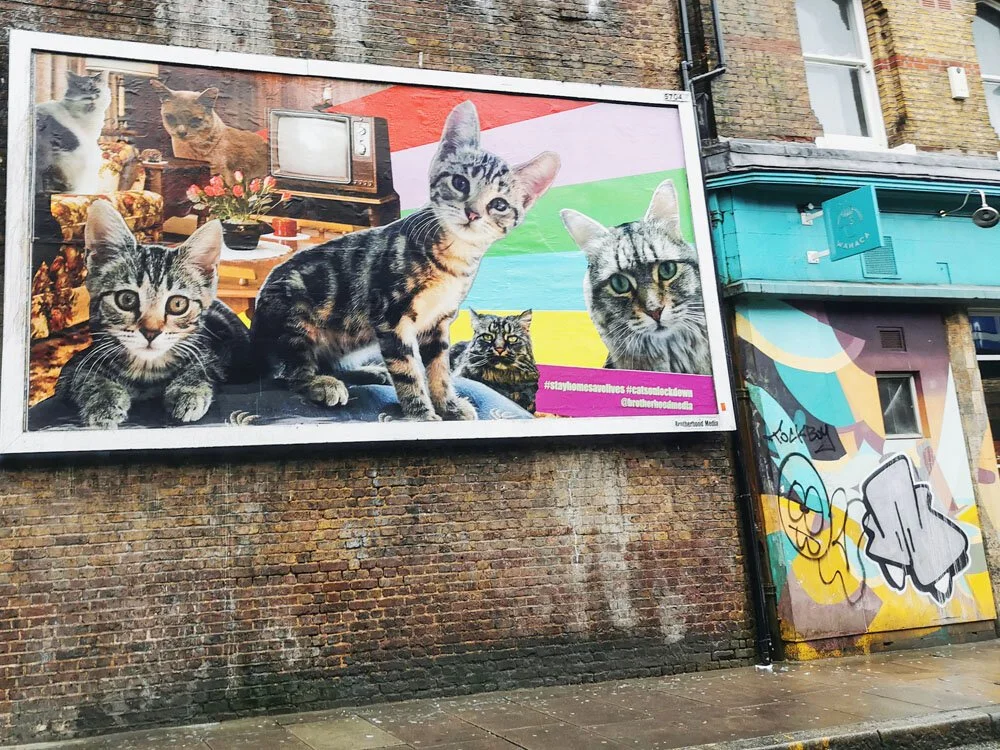 Cats_BrixtonStation48Sheet.jpeg