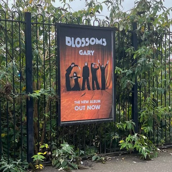 Blossoms Website 3.jpg
