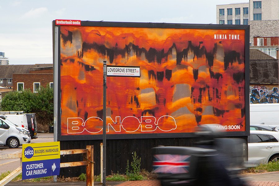 Bonobo-8.jpg