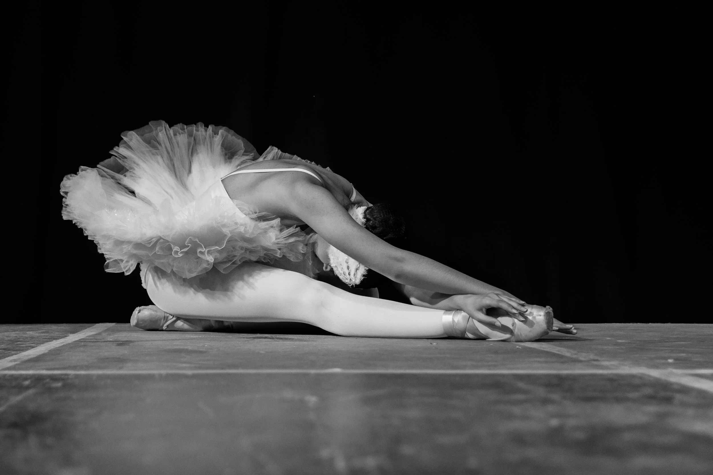 Pre-Professional Program