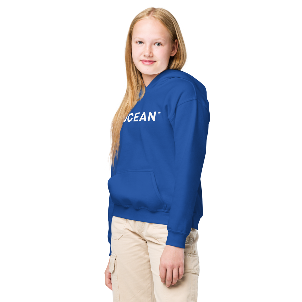 youth-heavy-blend-hoodie-royal-left-front-67673a830079c.png