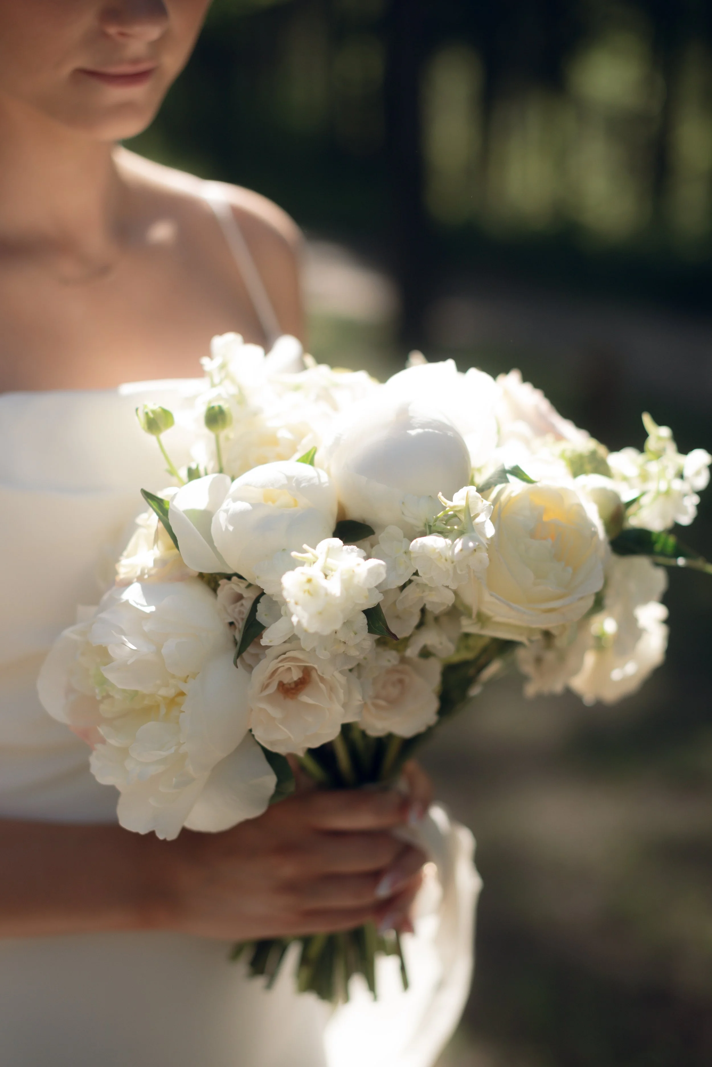 Finding Your Voice and Style as a Photographer