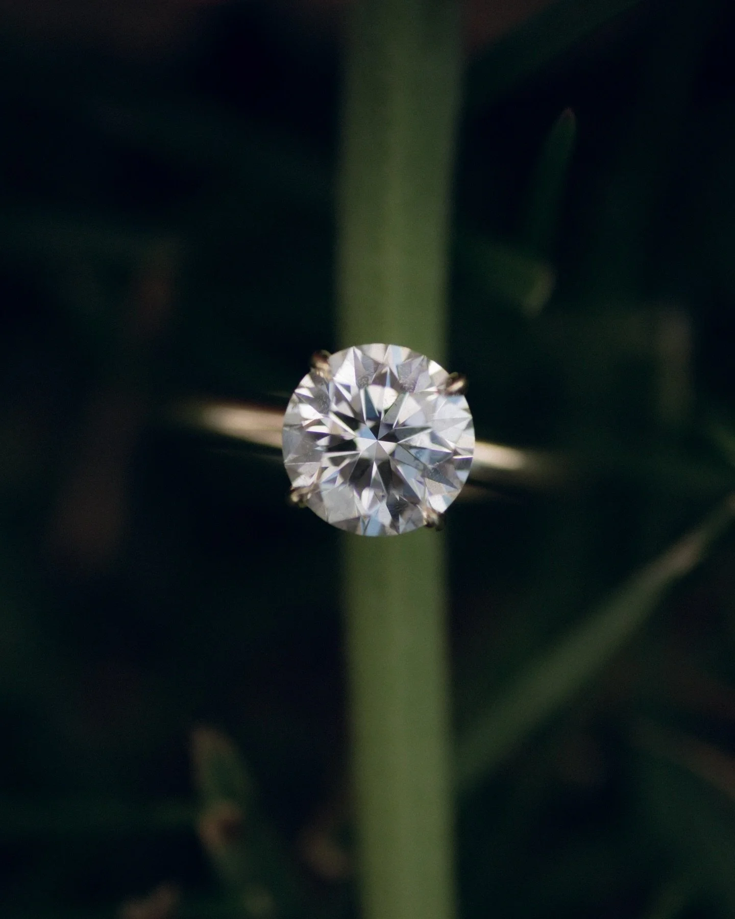 A magical day for the Solies 🕊️