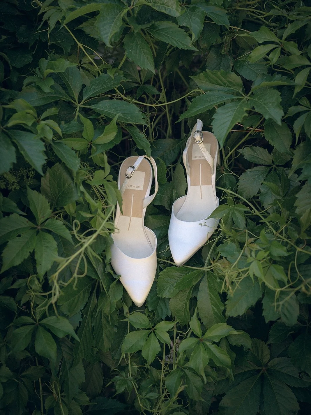 Wedding days are full of all kinds of moments. Some you look for, some you create and some are already happening.