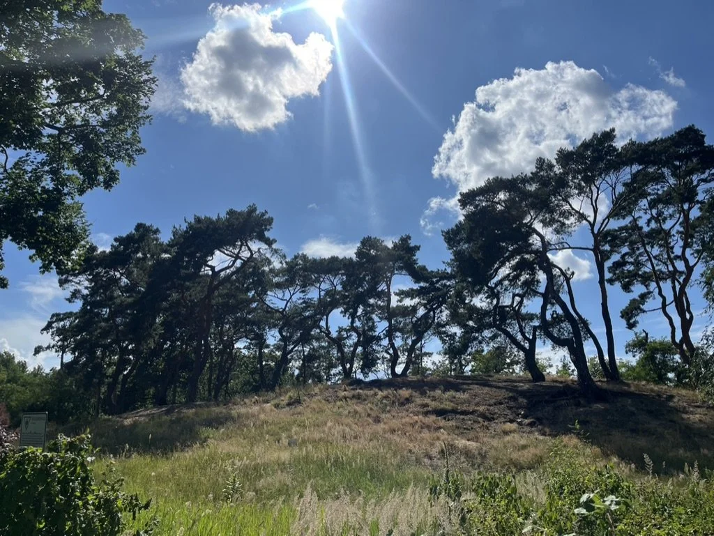 KEINE AKTUELLEN EVENTS // CURRENTLY NO UPCOMING EVENTS