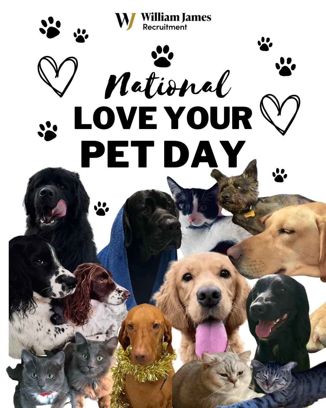 Behind every great recruiter.....is a great pet! 🐶🐱

#nationalpetday #furryfriends #legalrecruitment