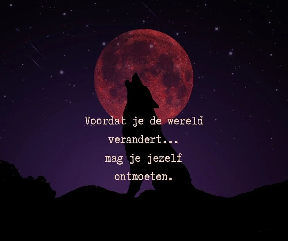 De maatschappij legt ons een zeer hoge standaard op van hoe we moeten zijn. 

Zo moet je eruitzien. Dit moet je allemaal bezitten. Dit zou je - op een bepaalde leeftijd - allemaal al bereikt moeten hebben. 

Onder die opgelegde standaard voelen veel 