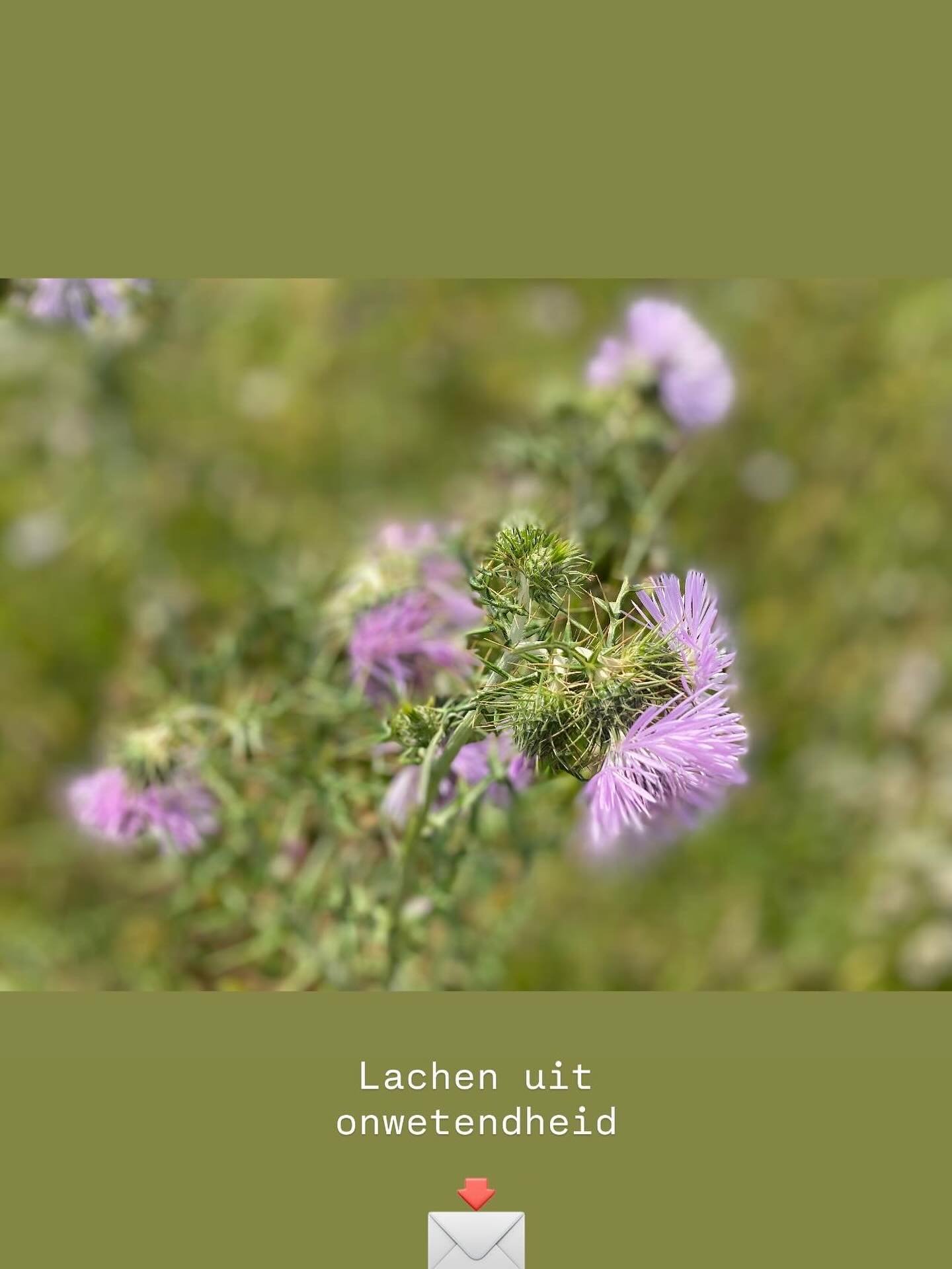 Lachen uit onwetendheid

Wanneer mensen iets uitlachen, zegt dat zelden iets over datgene zelf. Lachen is vaak een masker. Het maskeert angst, onbegrip of onwetendheid. 

Ze lachen&hellip;

- omdat ze bang zijn (reflex van angst).
- Omdat ze het niet