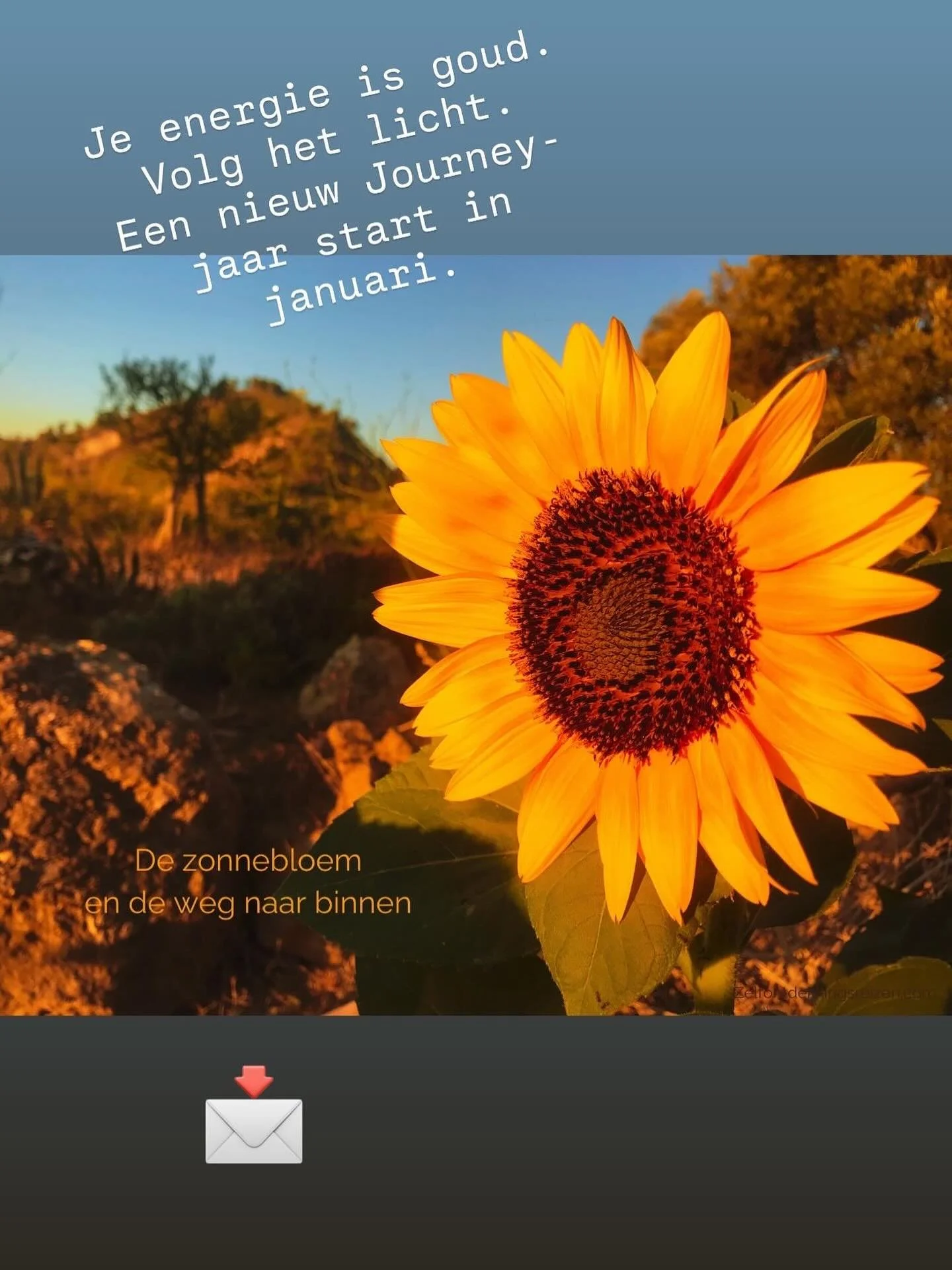 De zonnebloem en de weg naar binnen

Vijf dagen. Vijf kleine bewustwordingen. In The Journey zijn we bezig met een challenge. 

Eerst zagen we waar onze aandacht heen ging. Toen leerden we hoe onze energie zich liet besteden. We ontdekten de richting