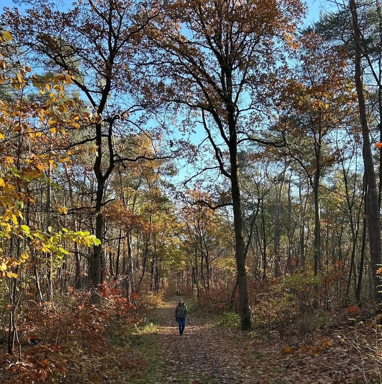 Zit je vast? Heb je behoefte aan inspiratie of de juiste keuzes? Een SoulWalk is een diep afgestemde sessie vol mentoring, spiegeling en richting.

Aan het water, in het bos of op de hei ga je voelen hoe het is om te kiezen vanuit je hart, om ruimte 