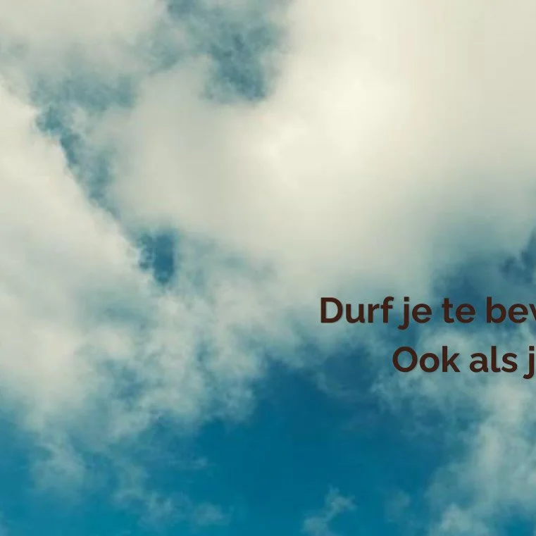 Dit moment in mijn geschiedenis vraagt niet om n&oacute;g meer analyse, verklaringen of slogans. Het vraagt om iets anders. Om incarnatie.

Om durven verschijnen in het leven, met alles wat daarbij hoort.

Wat ik voel, en wat 2026 volgens mij belicha