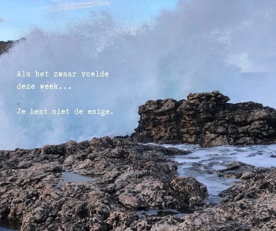 Hoe was jullie week?

Ik checkte het net even bij mijn Journey-vrouwen en wat daar terugkwam was heel herkenbaar. 

De afgelopen week, en eigenlijk nog steeds een beetje, voelde voor veel gevoelige mensen intens. Er was veel in beweging in het zenuws