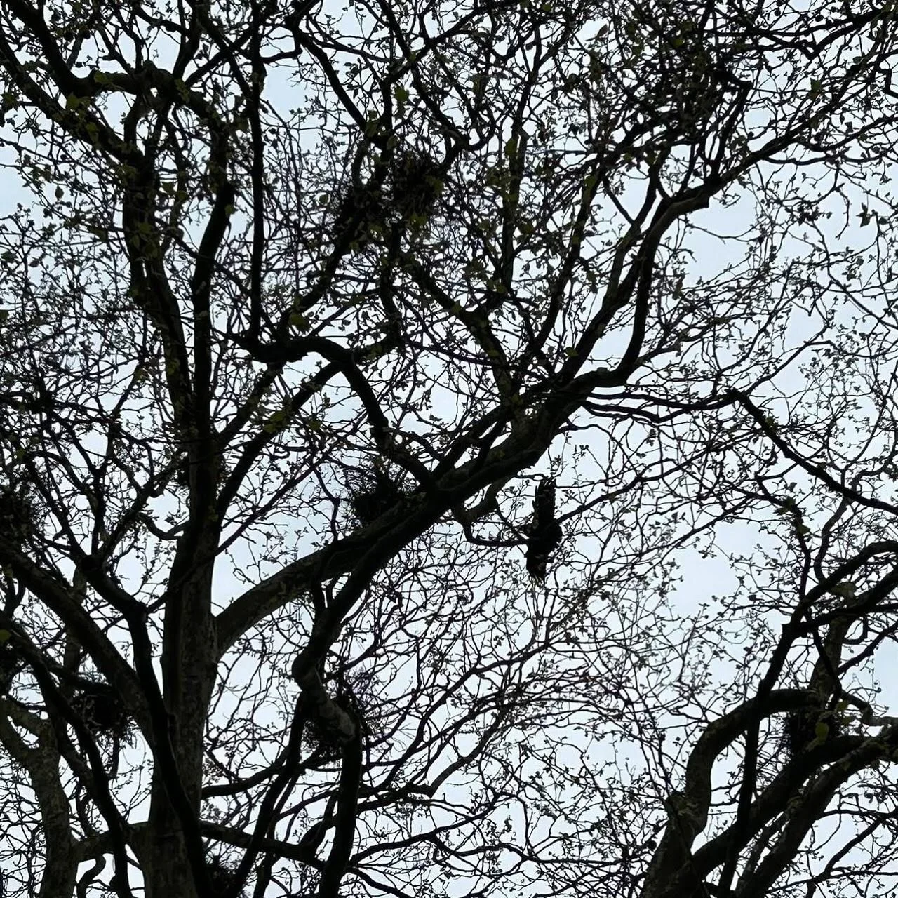 Combat the evil by being of service

De destructie, chaos, het kwaad in de wereld&hellip; Veel mensen denken dat ze niets kunnen doen, maar dat is niet zo. 

Je kunt het kwaad bestrijden. 
Door van dienst te zijn. 
Door voor iemand anders te zorgen.
