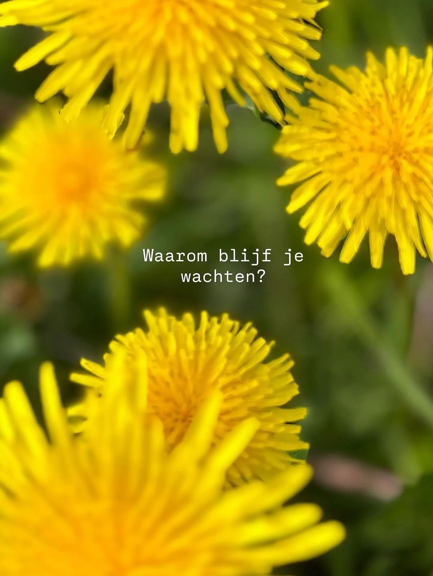 Ja, alles heeft zijn timing. En tegelijk vind ik het pijnlijk om te zien hoeveel mensen maar blijven doorgaan terwijl het leven allang schuurt. Allang niet meer leuk is. 

Zovelen gaan maar door. In een te hard, te leeg en te-ver-van-jezelf leven.

I