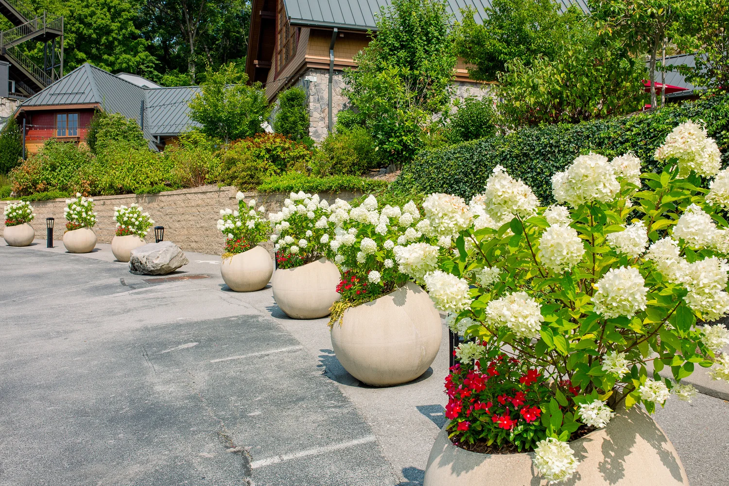 Garden Vignettes
