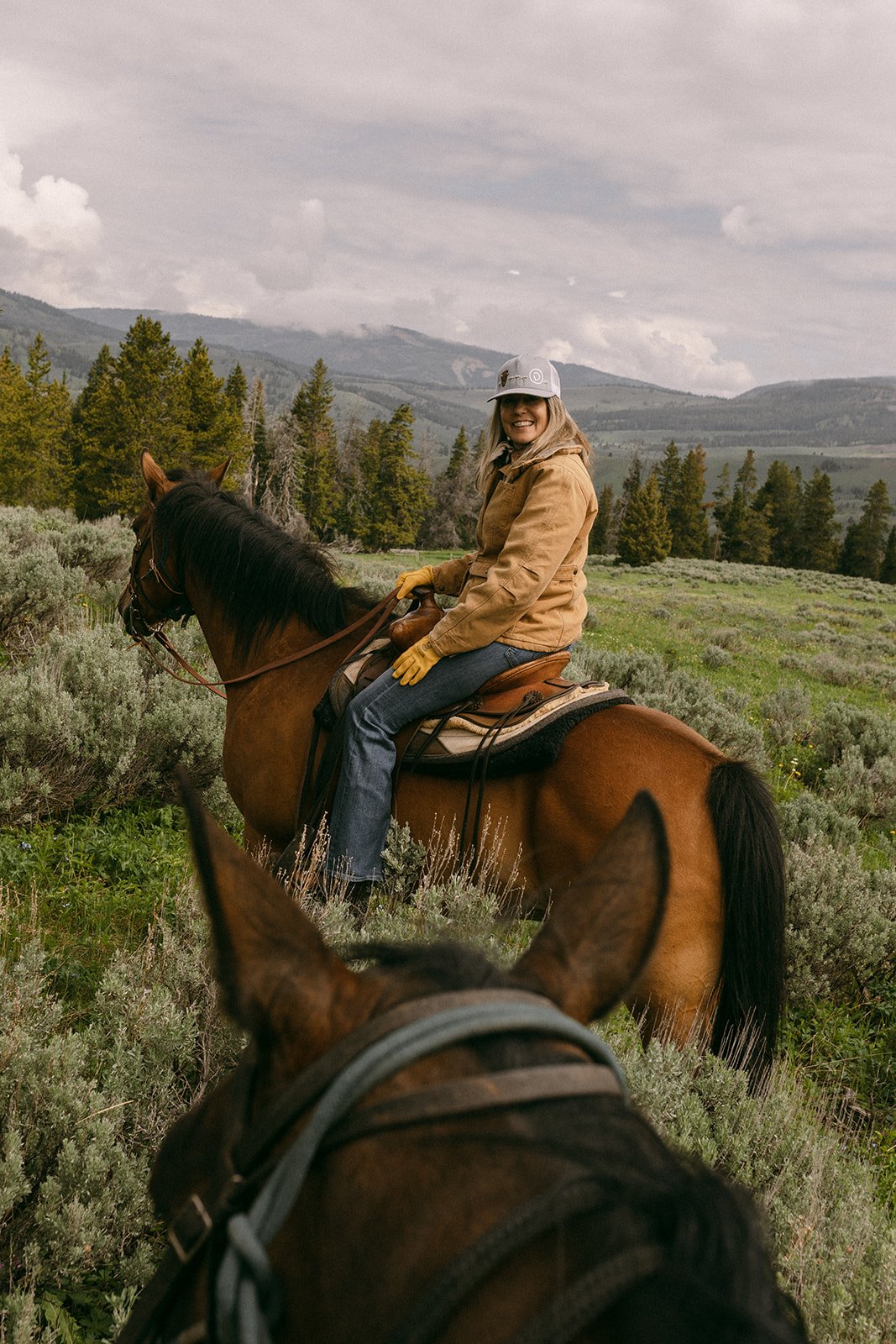 horses-montana-womens-retreat.jpg