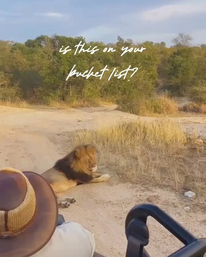 If &ldquo;go on safari&rdquo; is on your travel wish list, you&rsquo;re not alone. (It&rsquo;s on mine too!) 🌍

Safaris are especially incredible for:
🦓 Solo female travelers
🐆 Families
🐘 Multi-generational trips 

They&rsquo;re safe, immersive, 