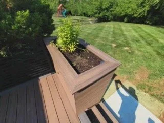 IMG_20240712_171820_944 Small.jpeg