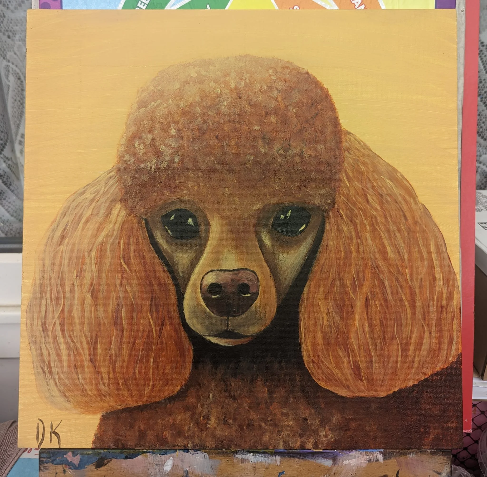 animals (17).jpg
