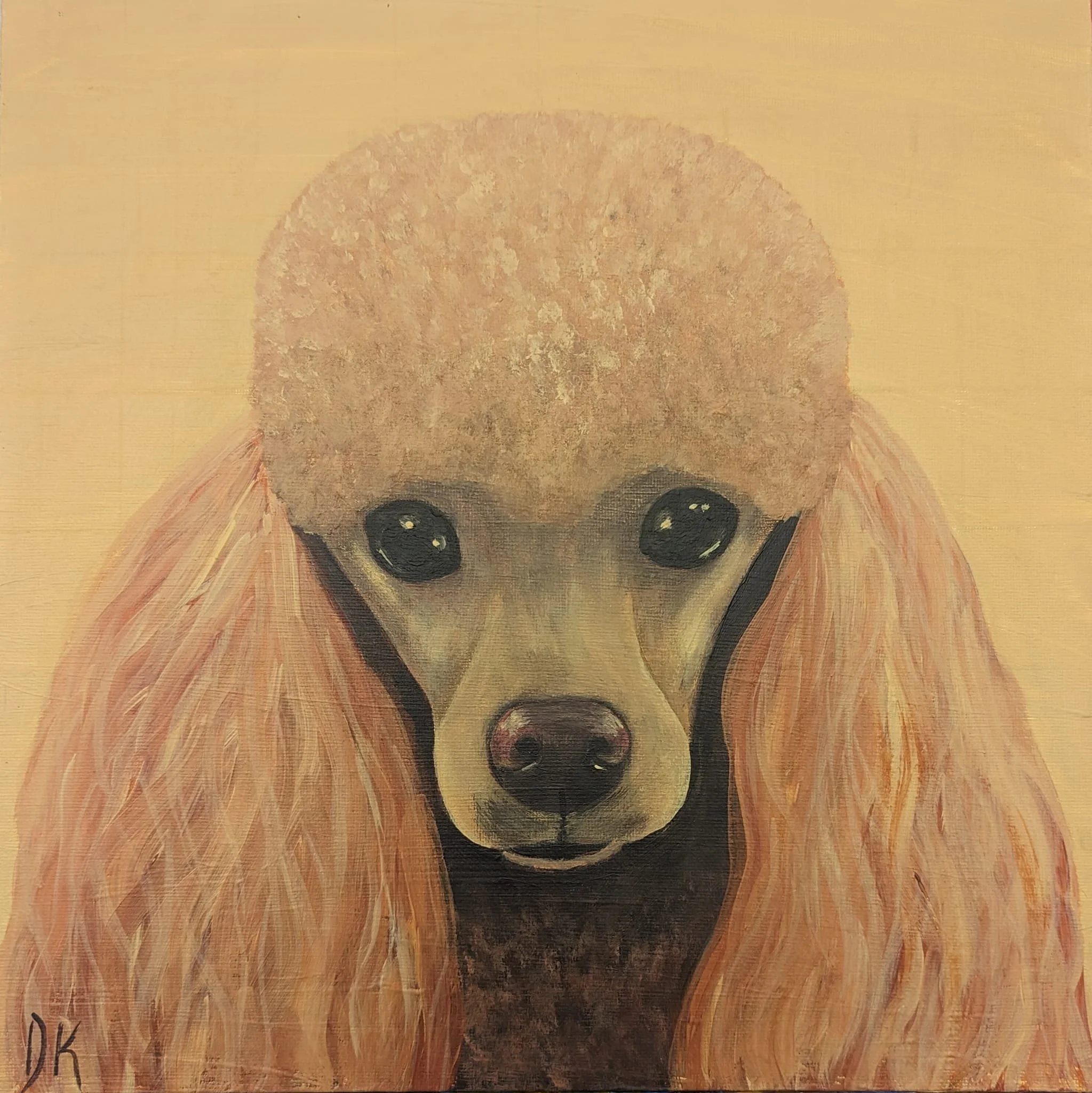 animals (16).jpg