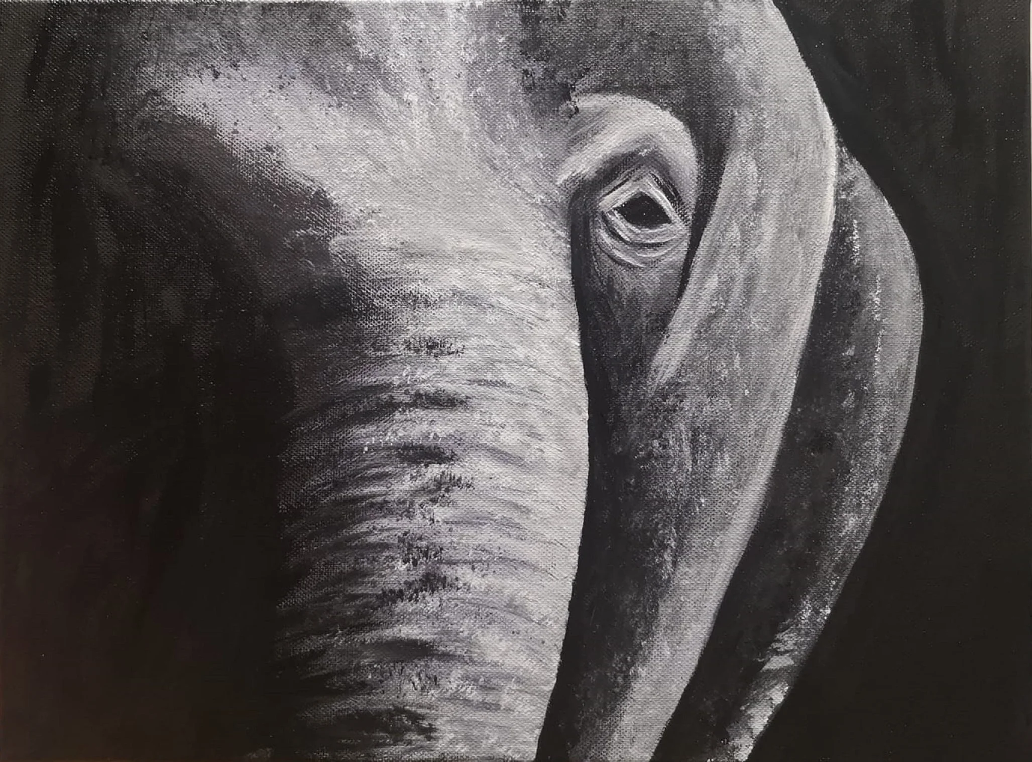 animals (1).jpg