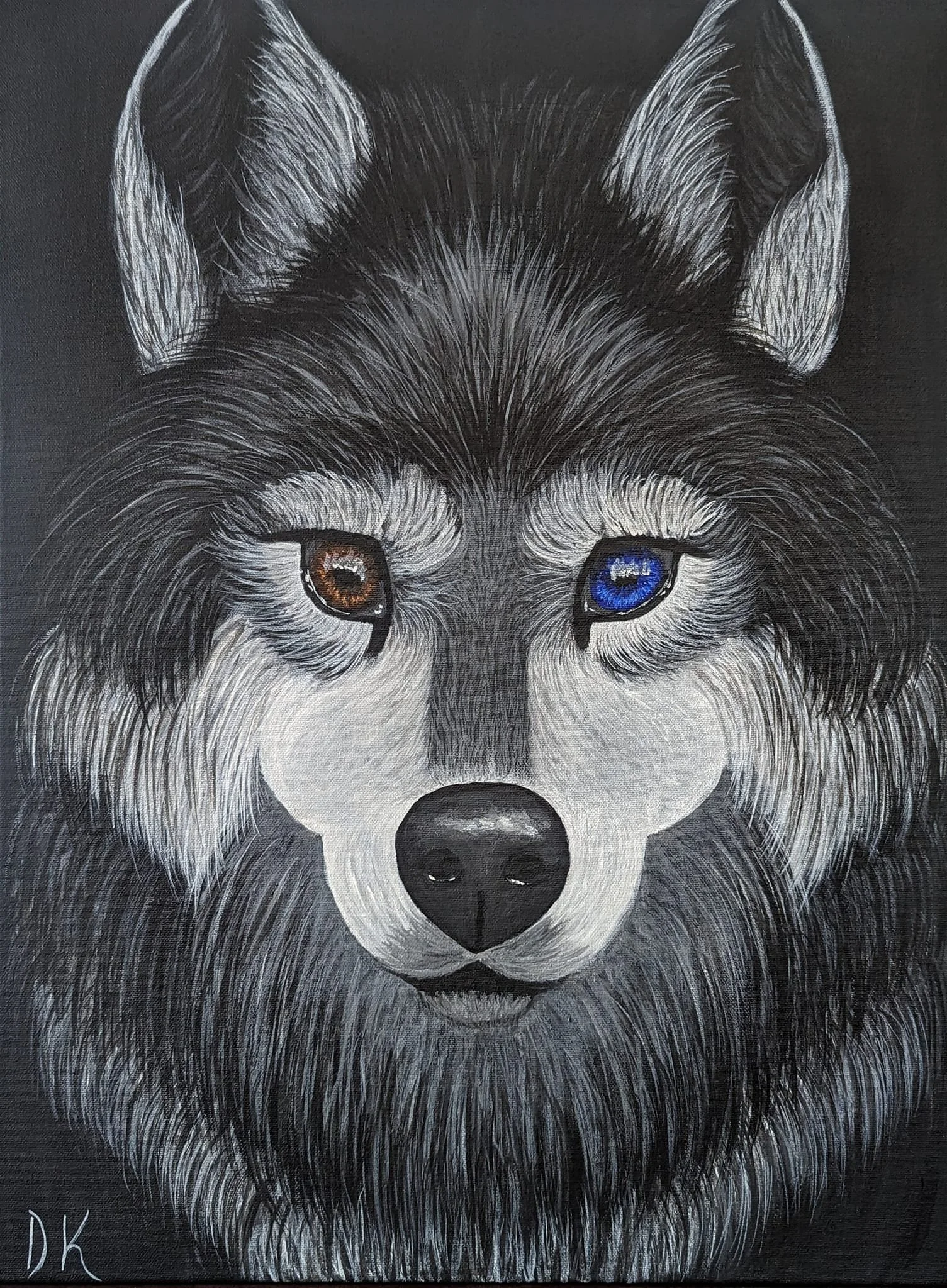 animals (21).jpg