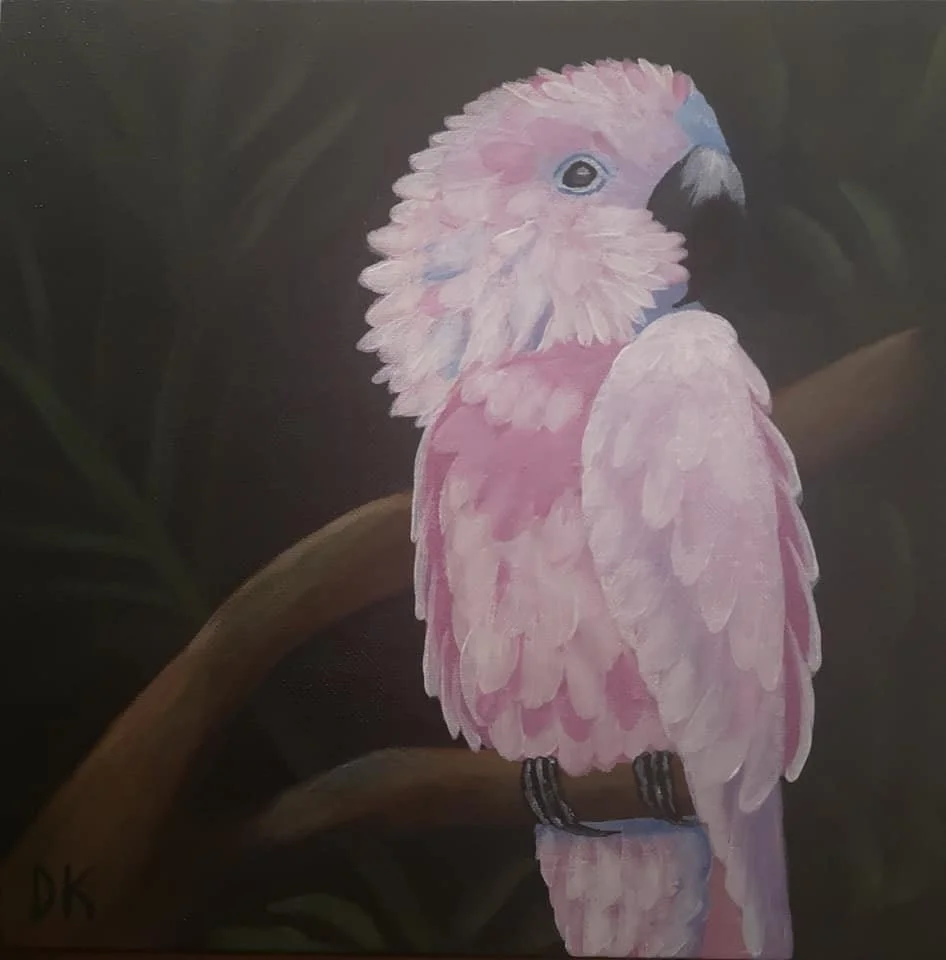 animals (6).jpg