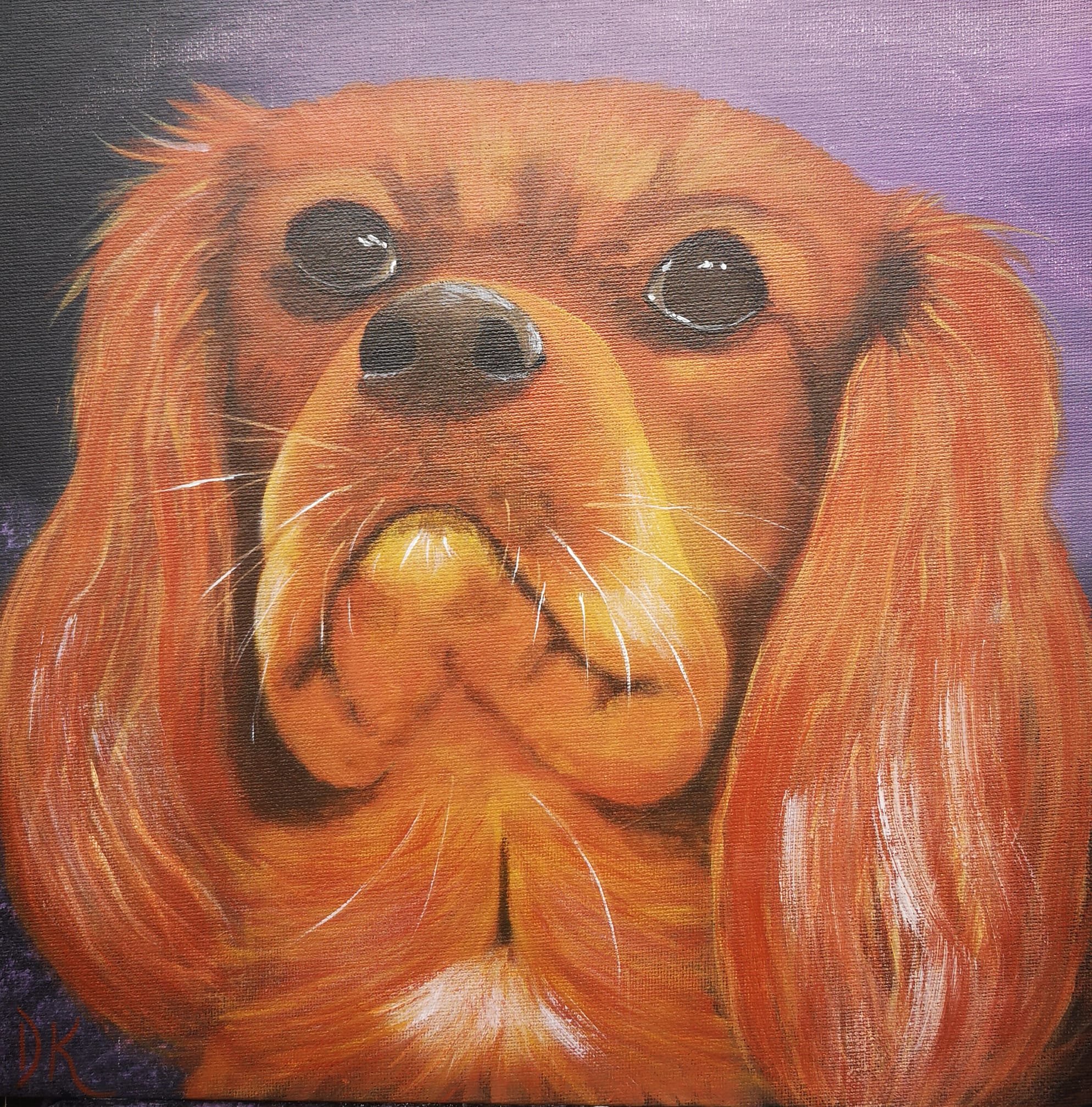 animals (9).jpg