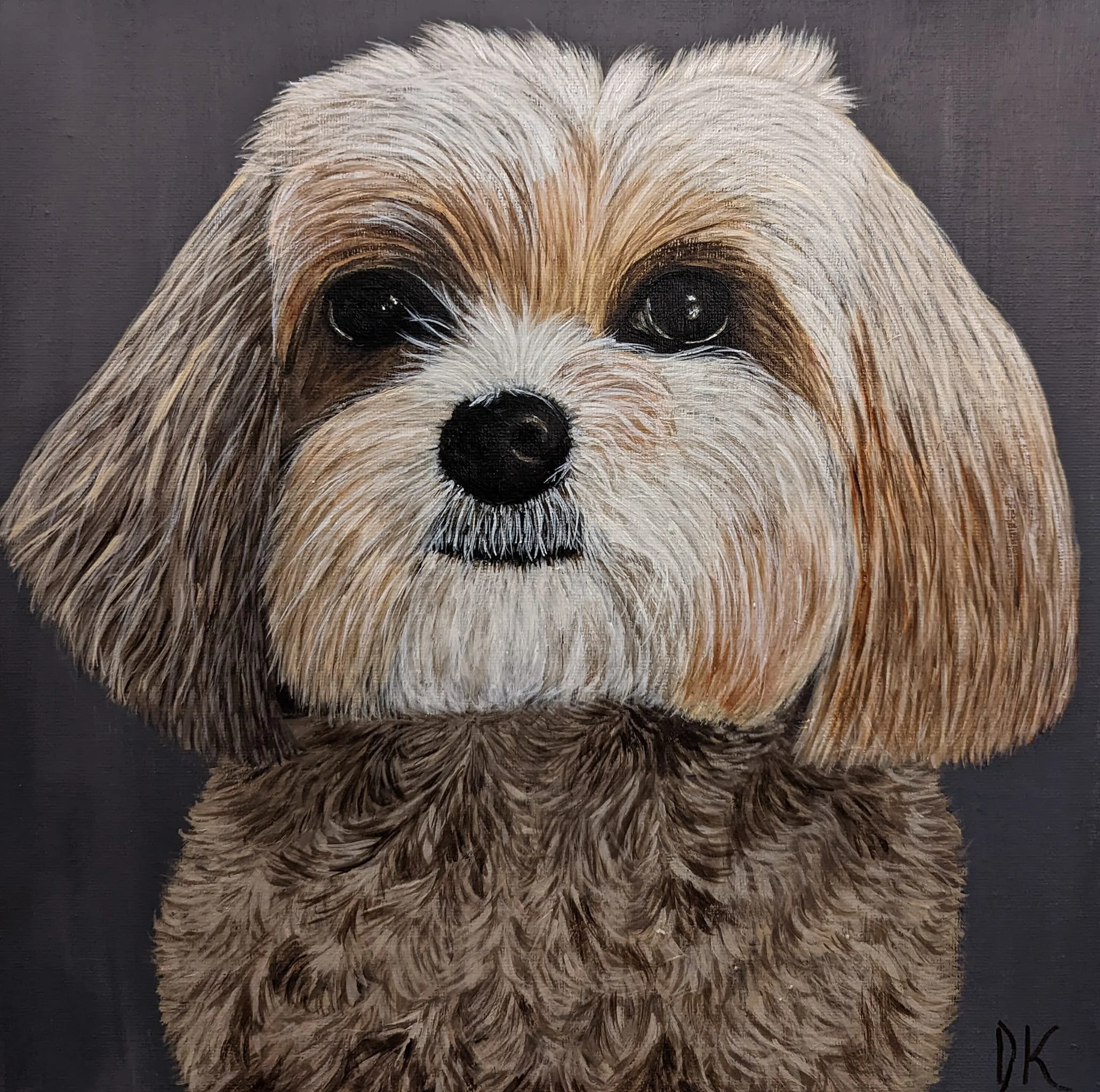 animals (13).jpg