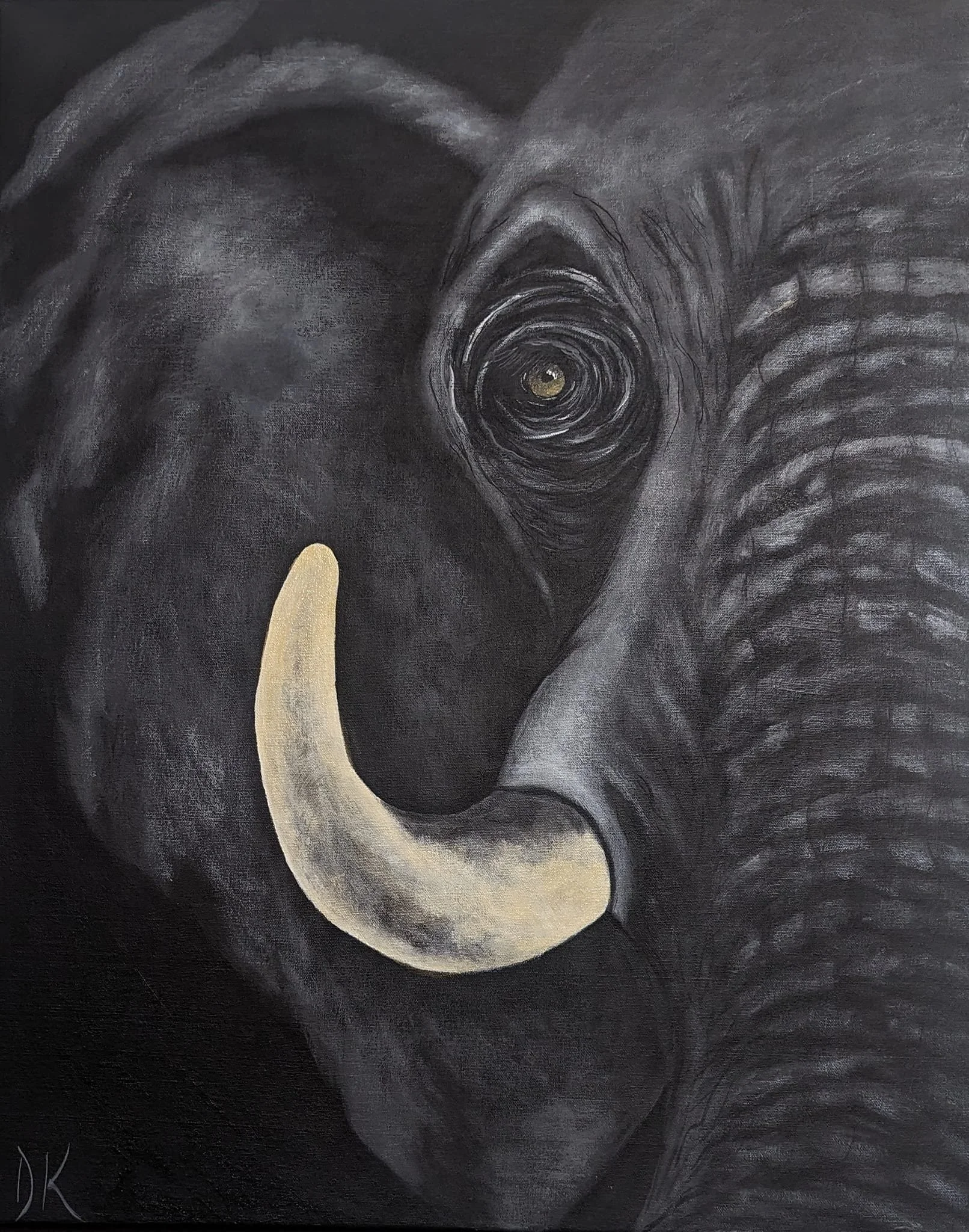 animals (20).jpg